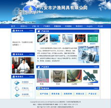 六安市沪渔网具 以OA系统与软件开发为翼，构建信息化的高效未来